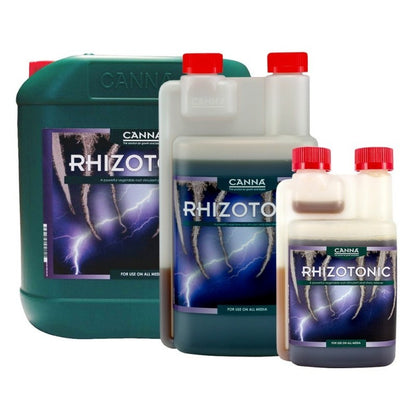 RHIZOTONIC CANNA